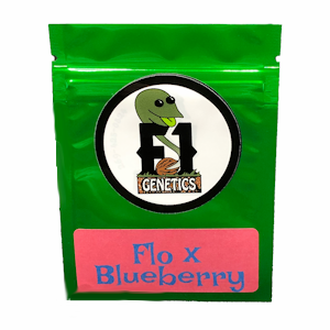 Flo x D.J. Short Blueberry Seeds