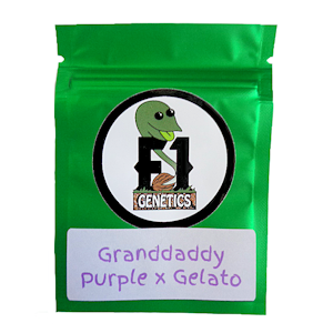 Granddaddy Purple x Gelato Cannabis Seeds