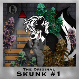 Skunk #1 Original from Sam the Skunk Man, Dave Watson