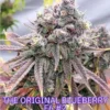 the original blueberry f6 #2