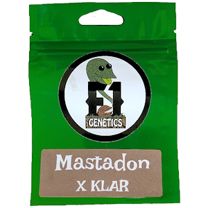 Mastadon x KLAR Seeds