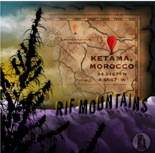 Ketama Morocco Rif Mountain Seeds