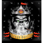 Circus Gorilla Cannabis Seeds