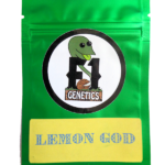 Lemon God Cannabis Seeds