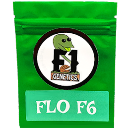 Flo F6