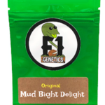 Mud Bight Delight Strain