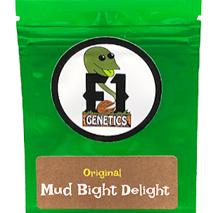 Mud Bight Delight Strain