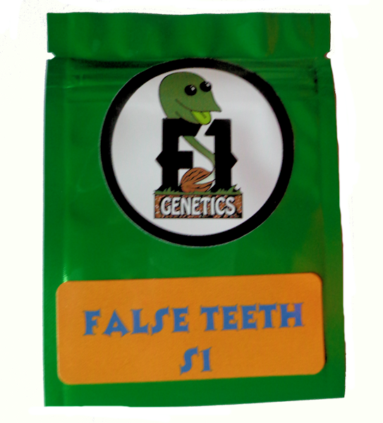 False Teeth S1 F1 Genetics 