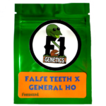 False Teeth x General Ho Feminized Seeds