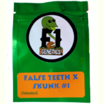 False Teeth x Skunk #1 Feminized Seeds