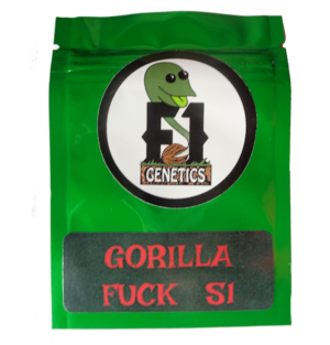 Gorilla Fuck S1 Cannabis Seeds