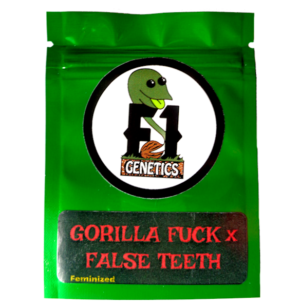 Gorilla Fuck x False Teeth Feminized Seeds