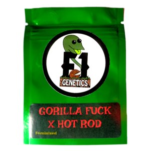 Gorilla Fuck x Hot Rod Feminized Seeds