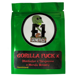 Gorilla Fuck x (Mastodon x Tangerine x Mendo Breath) Feminized Seeds