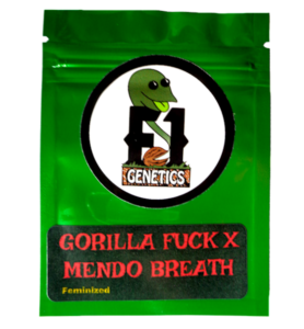 Gorilla Fuck x Mendo Breath Feminized Seeds