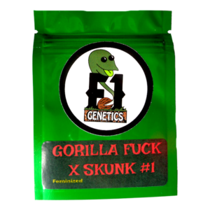 Gorilla Fuck x Skunk #1 Feminized Seeds