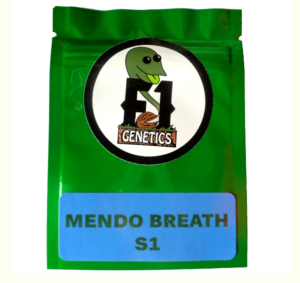 Mendo Breath S1 Seeds