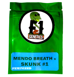 Mendo Breath x Skunk #1 Feminized Seeds