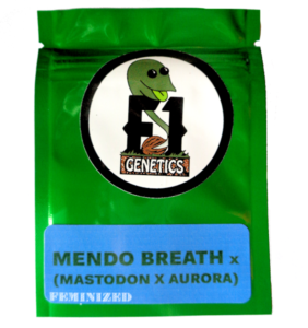 Mendo Breath x (Mastodon x Aurora Indica) Feminized Seeds