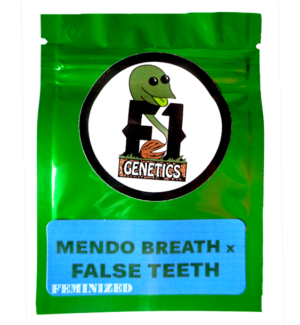 Mendo Breath x False Teeth Feminized Seeds