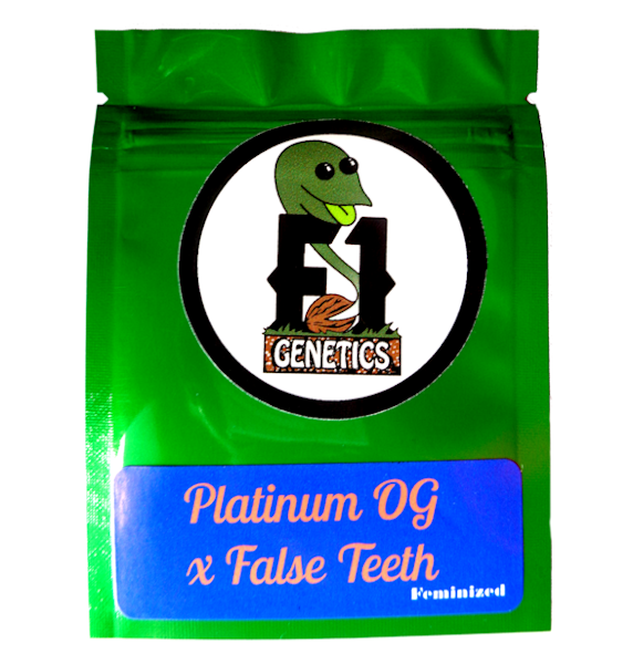 Platinum OG x False Teeth Feminized Seeds