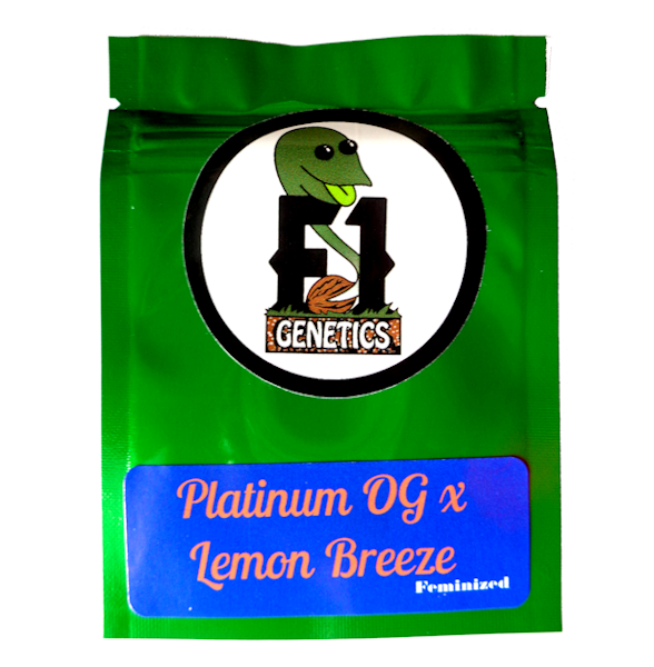 Platinum OG x Lemon Breeze Feminized Seeds