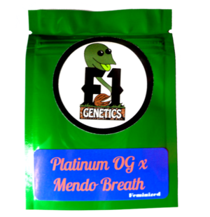 Platinum OG x Mendo Breath Feminized Seeds