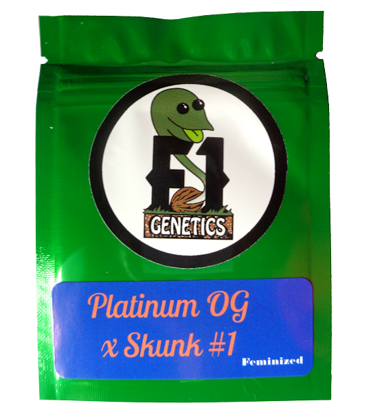 Platinum OG x Skunk #1 Feminized Seeds