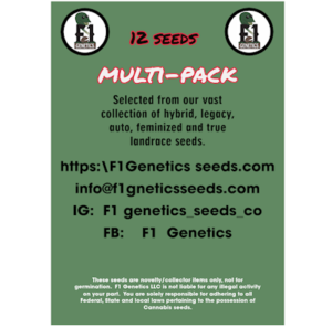 Multi Packs of Cannabis Seeds