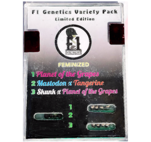 Skunk x Planet of the Grapes Mastodon x Tangerine Multi Pack