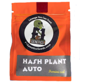 Hash Plant Feminized Auto Seeds