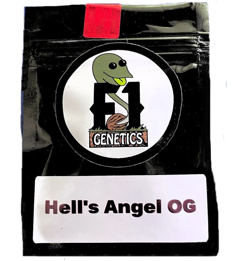 Hells Angel OG Seeds