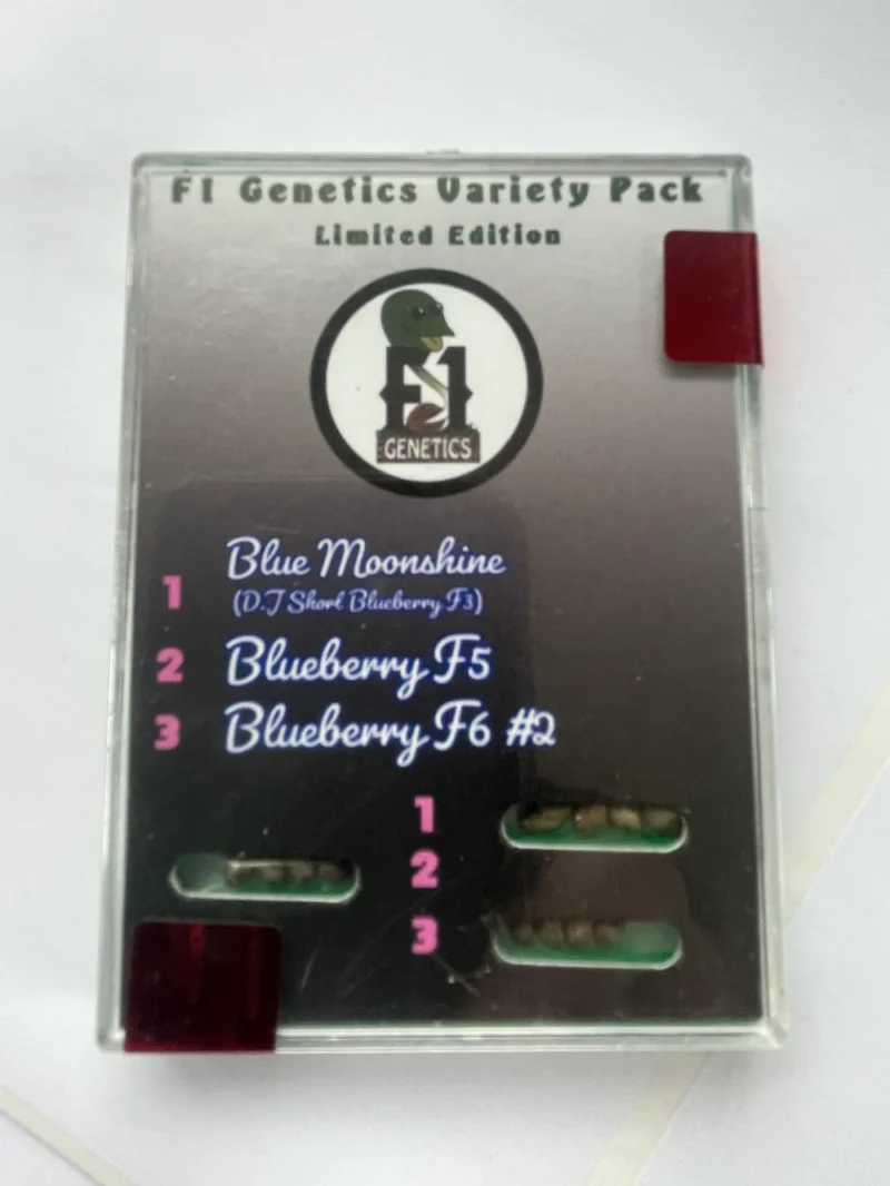 DJ Short Blueberry Tri Pack Seeds