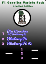 DJ Short Blueberry Tri Pack Seeds