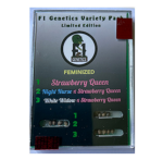 Strawberry Queen/Night Nurse/White Widow Multi Pack Seeds