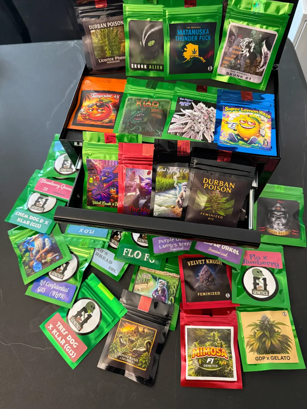 Feminized & Regular - F1 Genetics Limited Box Set
