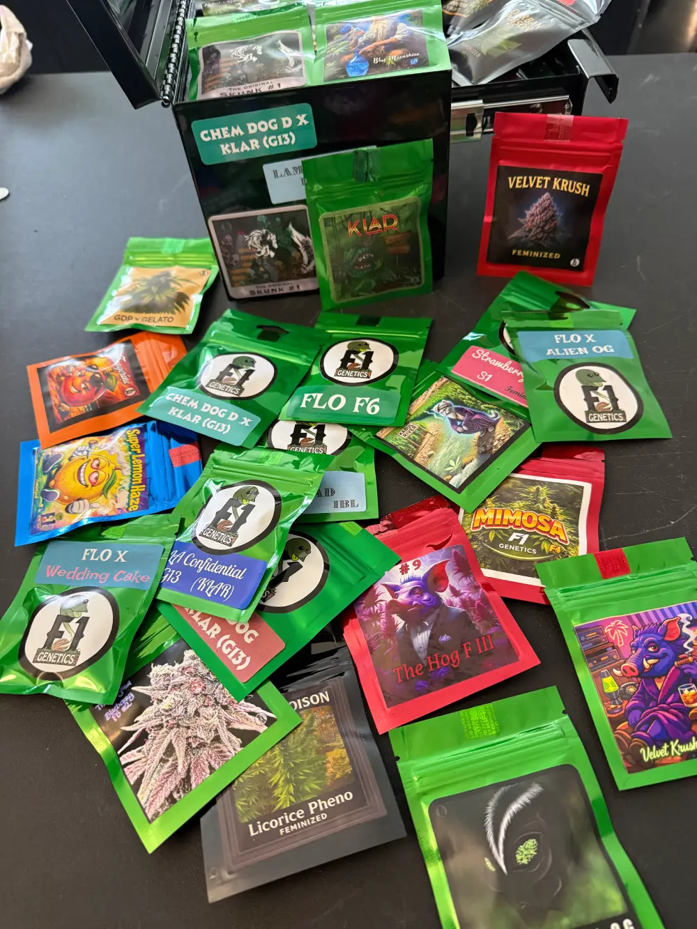 Feminized & Regular - F1 Genetics Limited Box Set - Image 5
