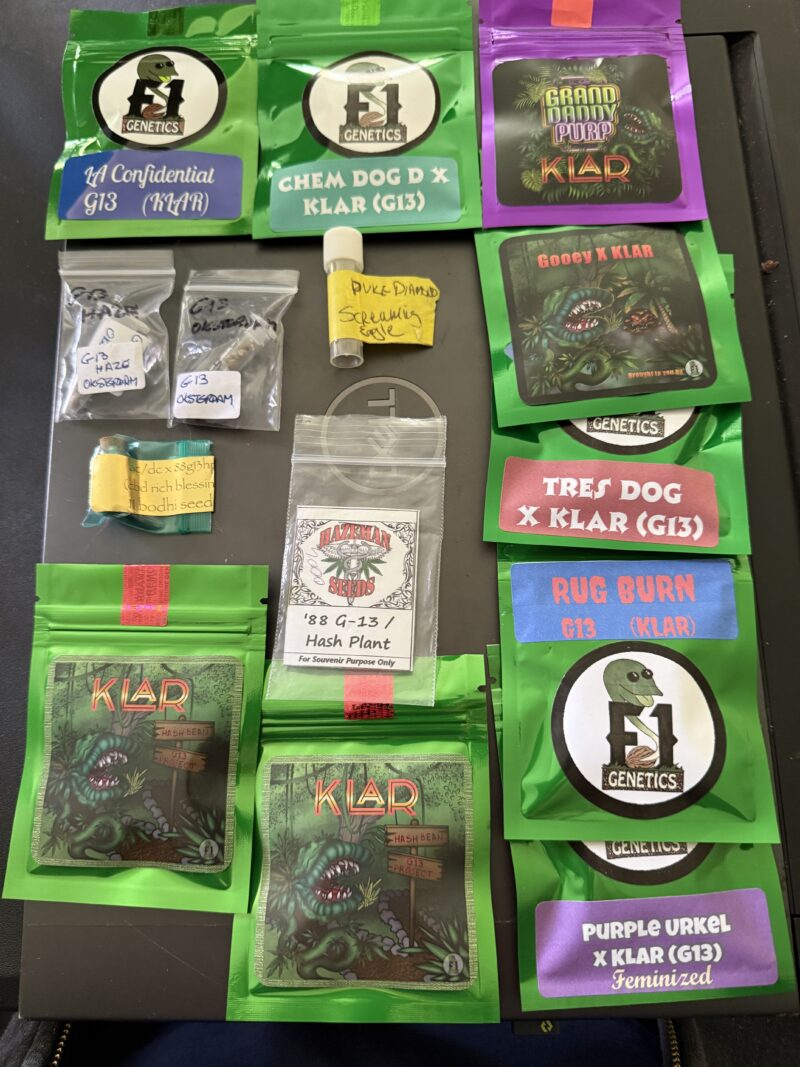 G13 Dream Set