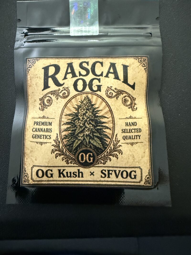 Rascal OG Auction