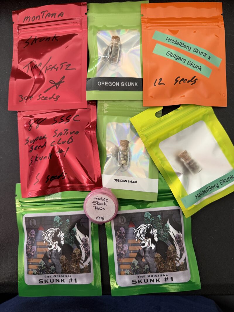 Skunk Collection Auction
