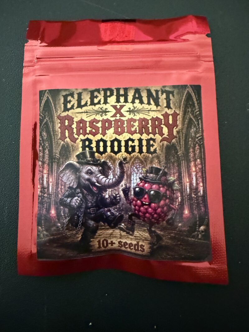 Elephant x Raspberry Boogie Seeds