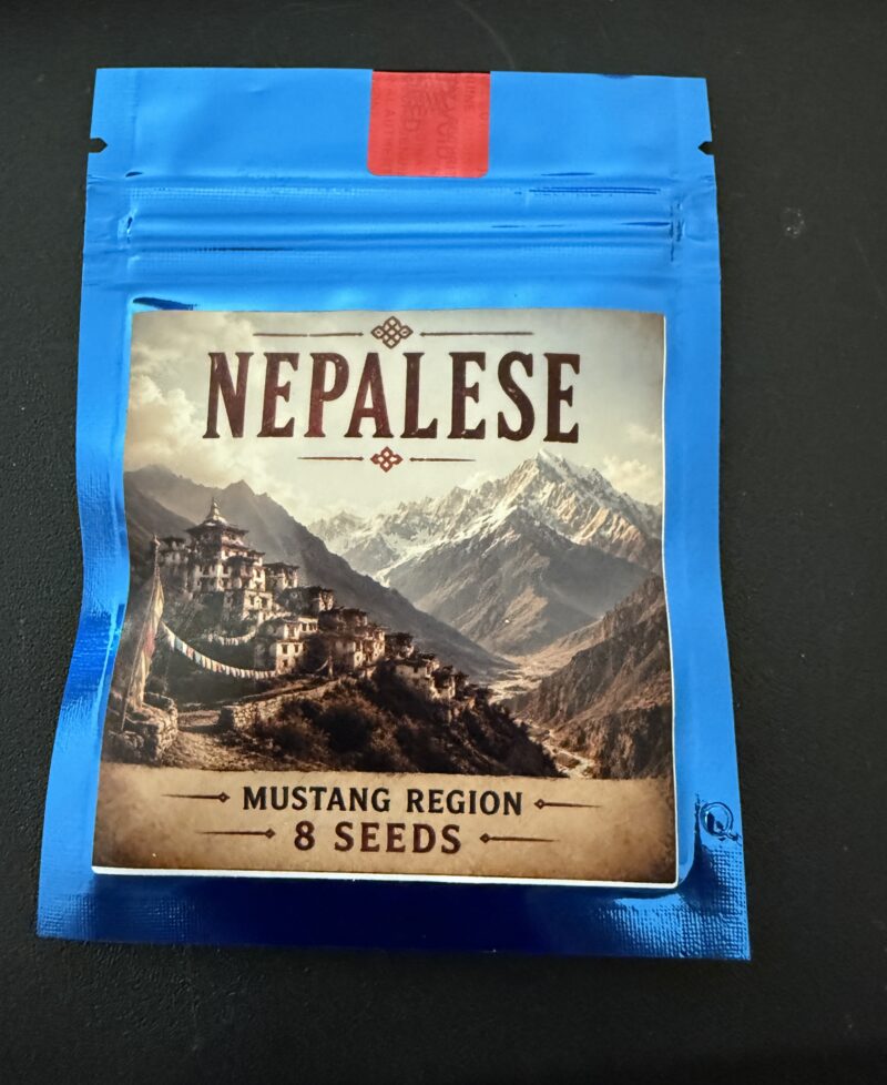 Nepalese Mustang Region