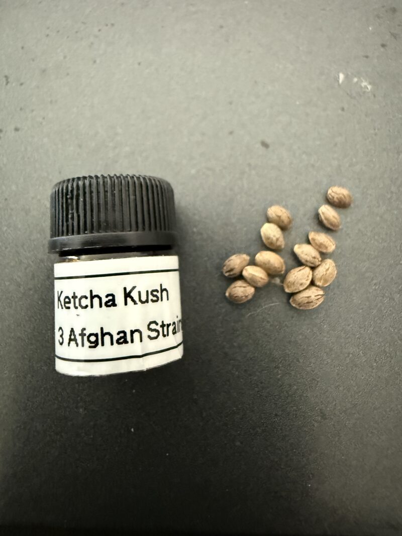 Ketcha Kush 3 Afghan Strains