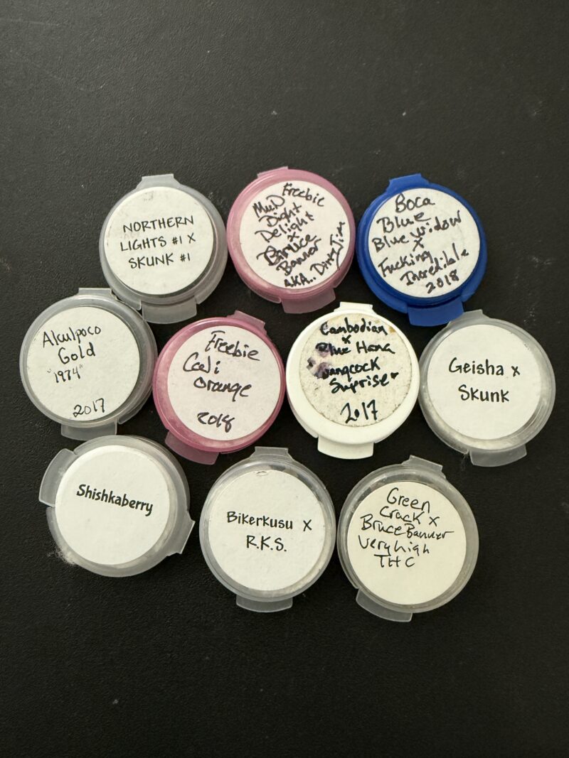 Originals from Alaska Cannabis Cache / Heime Cheeba