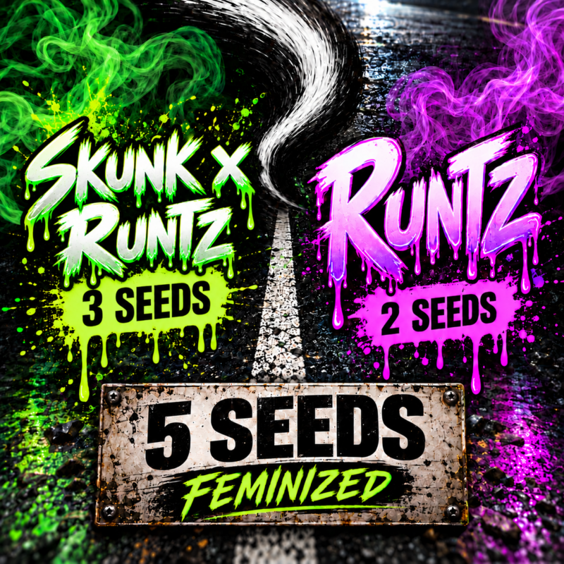 Skunk x Runtz 3 Seeds | Runtz 2 Seeds