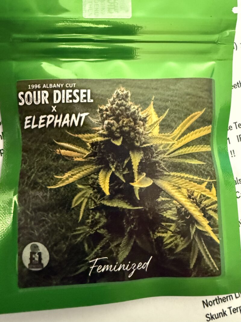 96 Albany Sour Diesel x Elephant Feminized (Auction)