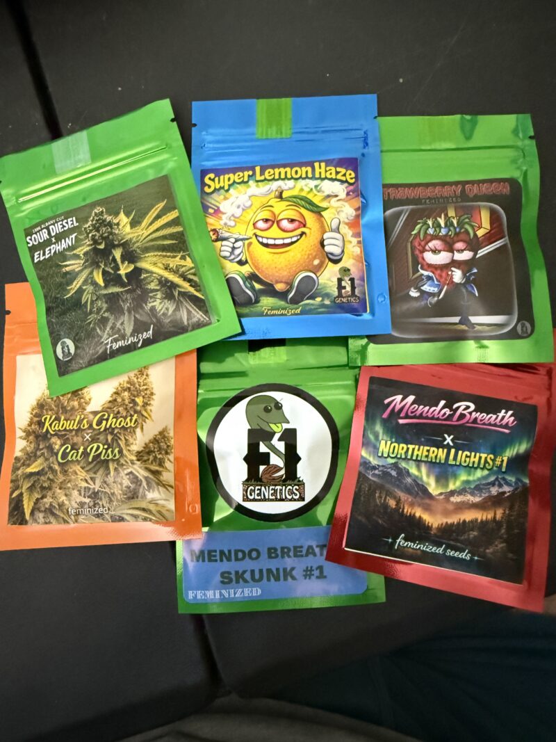 Z9 Box Set (Auction)