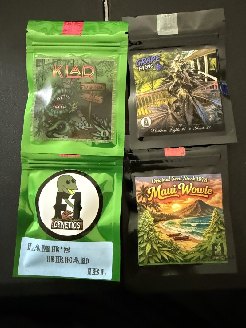 Z10 Set (Auction)