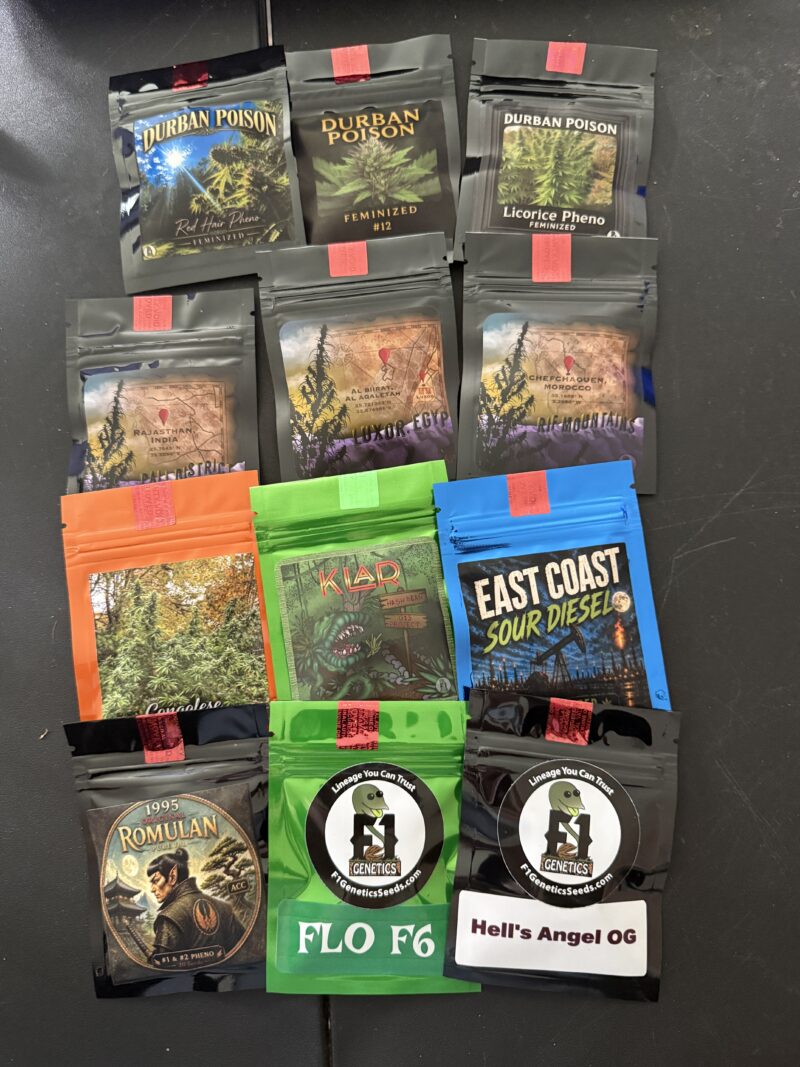 Z11 box Set