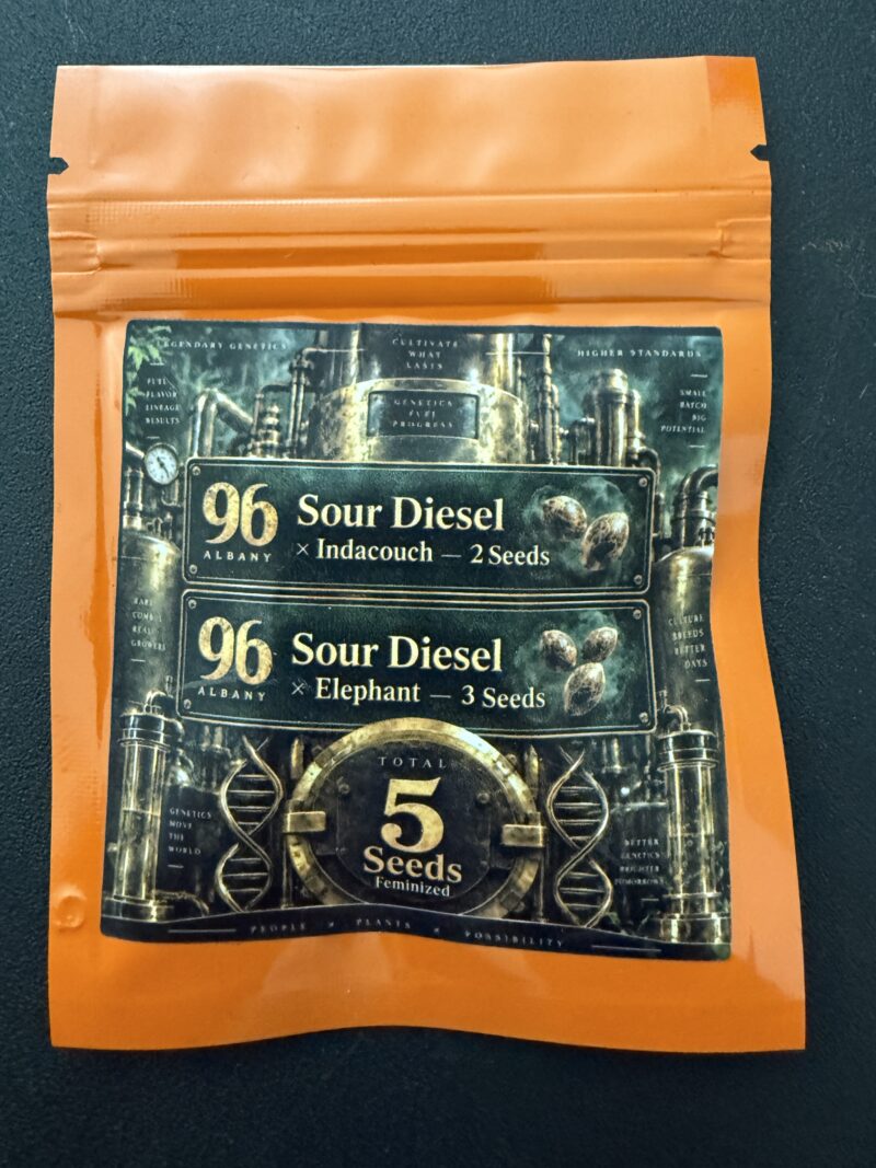 96 Albany Sour Diesel x Indacouch 2 Seeds - Albany Sour Diesel x Elephant 3 Seeds